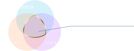 ハイブリッド説明図