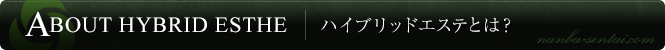 ハイブリッドエステとは？
