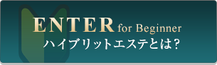 ハイブリットエステとは