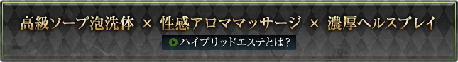 ハイブリットとは？