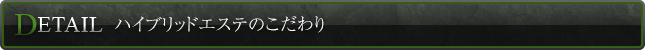 ハイブリッドエステのこだわり