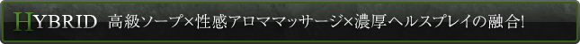 高級ソープ×性感アロママッサージ×濃厚ヘルスプレイの融合！