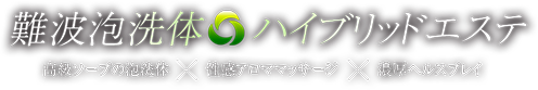 難波泡洗体ハイブリッドエステ