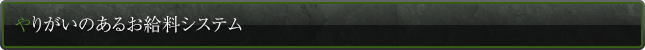 やりがいのあるお給料システム