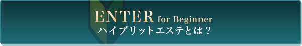 ハイブリットエステとは？